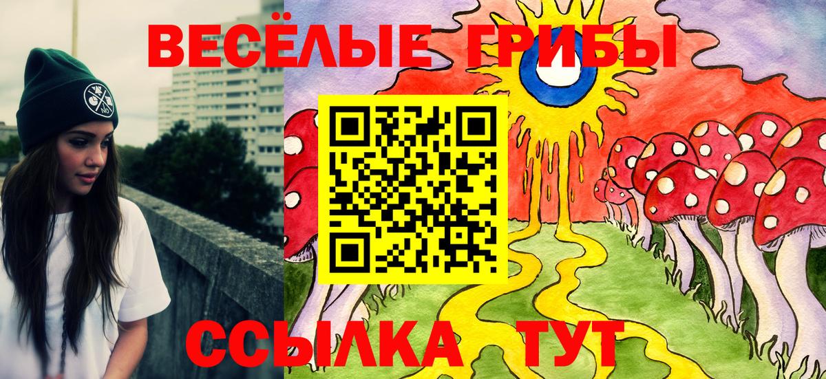 Псилоцибиновые грибы прущие грибы  где купить   Набережные Челны  Вход с VPN 